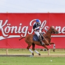 2012_POLO_910