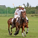 2011_POLO_63