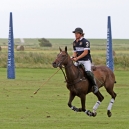 2011_POLO_81