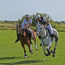 2012_POLO_009